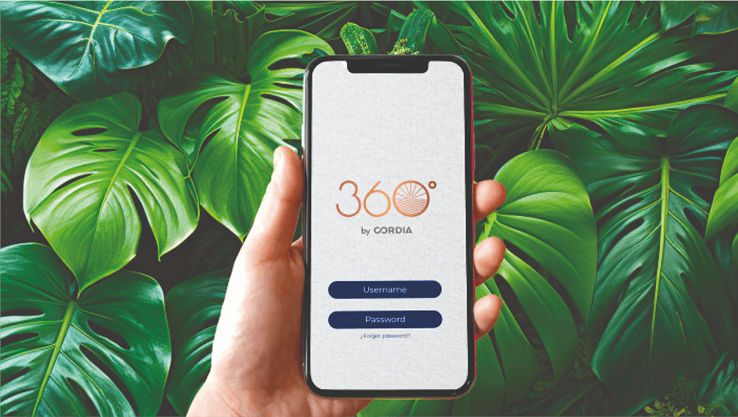 teaser-360-half-text-half-img-illustration